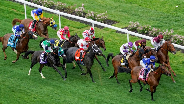 Expert Horse Racing Tips for Beginners and Advanced Bettors