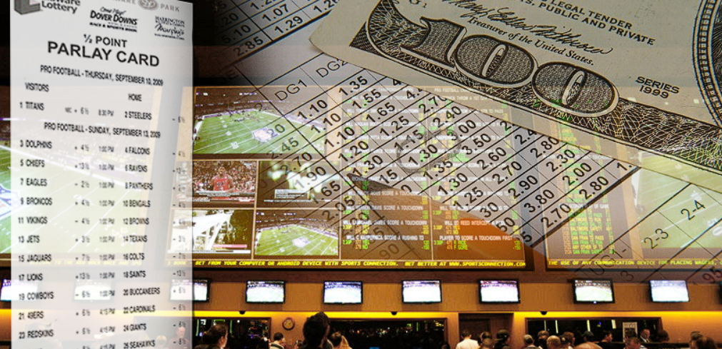 Beginner`s Betting Tips